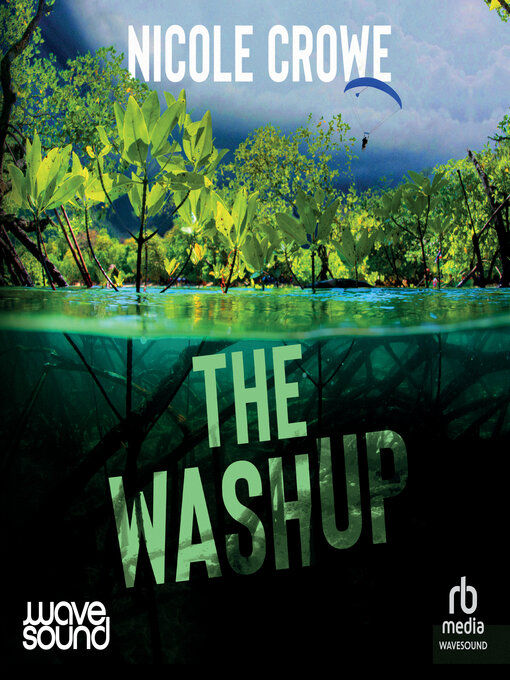 Cover image for The Washup